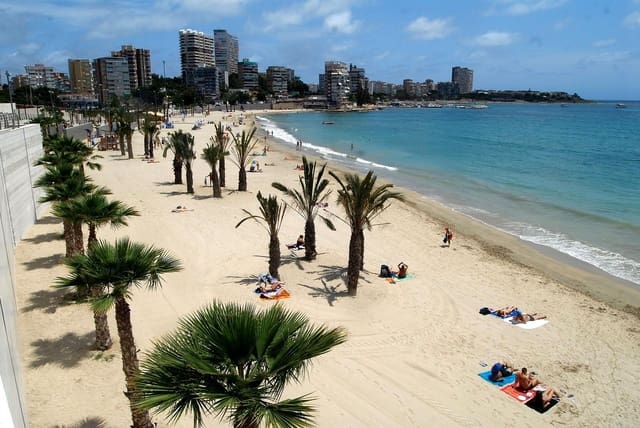 1 bedroom Flat for rent in Albufereta, Alicante / Alacant city with pool garage - € 900 (Ref: 9202086)