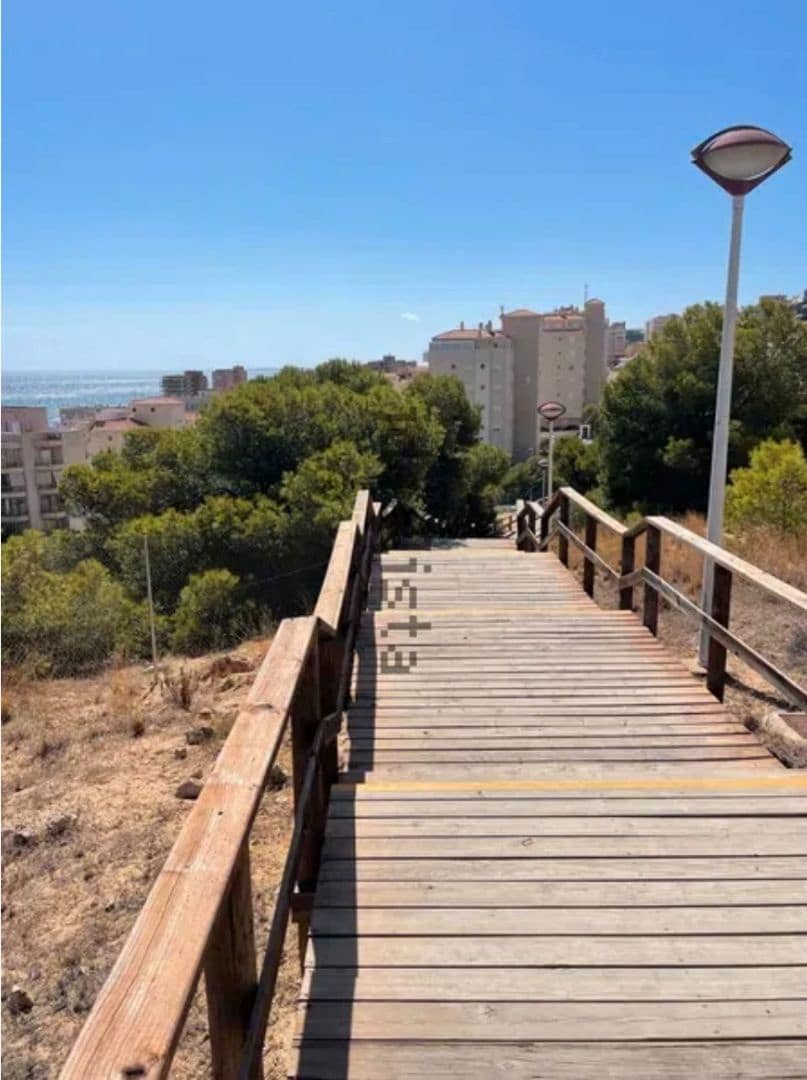 1 soveværelse Lejlighed til leje i Elche / Elx med swimmingpool - € 800 (Ref: 9283968)