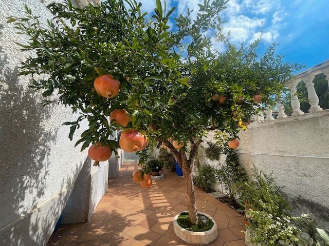 6 quarto Moradia para venda em Elche / Elx com piscina garagem - 519 000 € (Ref: 9302840)