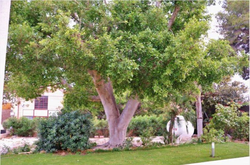 5 bedroom Villa for sale in Alicante / Alacant city with pool garage - € 1,650,000 (Ref: 9503359)