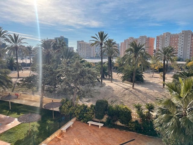 2 bedroom Flat for rent in Alicante / Alacant city with pool garage - € 1,050 (Ref: 9511334)