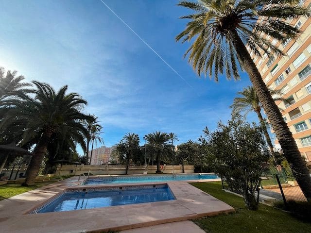 2 bedroom Flat for rent in Alicante / Alacant city with pool garage - € 1,050 (Ref: 9511334)