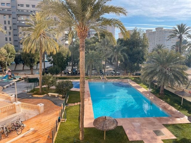 2 bedroom Flat for rent in PAU, Alicante / Alacant city with pool garage - € 1,050 (Ref: 9511334)