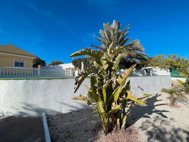 5 chambre Finca/Maison de Campagne à vendre à Alicante ville avec piscine - 659 500 € (Ref: 9525943)