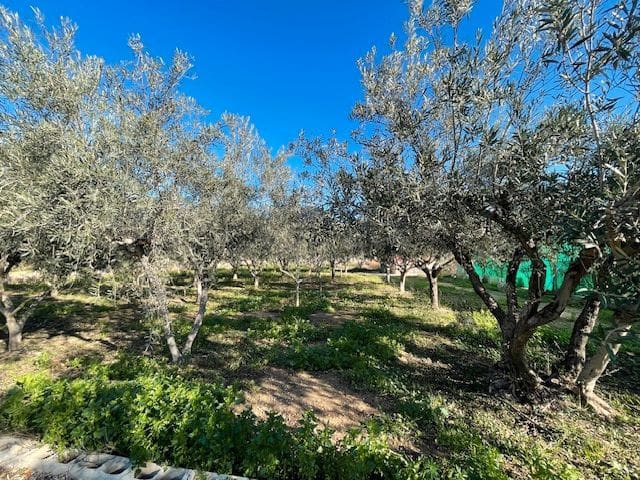 5 chambre Finca/Maison de Campagne à vendre à Alicante ville avec piscine - 659 500 € (Ref: 9525943)