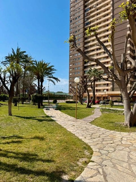 2 soveværelse Lejlighed til leje i Alicante by med swimmingpool garage - € 2.500 (Ref: 9542854)