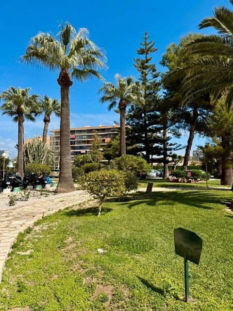 2 soveværelse Lejlighed til leje i Alicante by med swimmingpool garage - € 2.500 (Ref: 9542854)