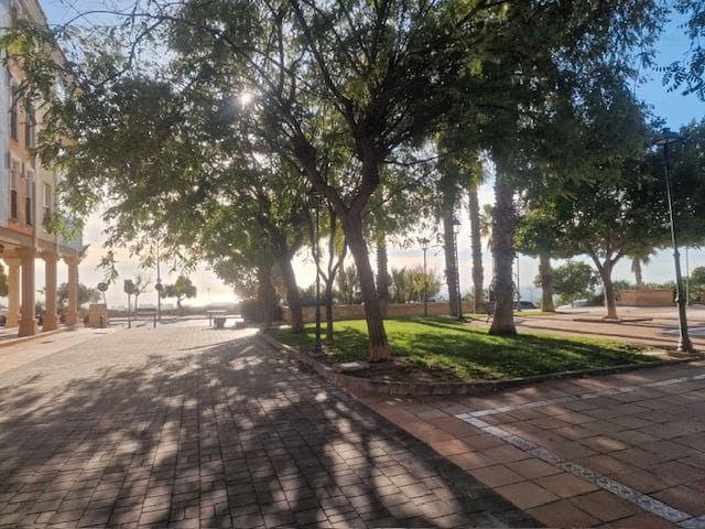 Local Commercial à vendre à Muchamiel / Mutxamel - 390 000 € (Ref: 9636107)