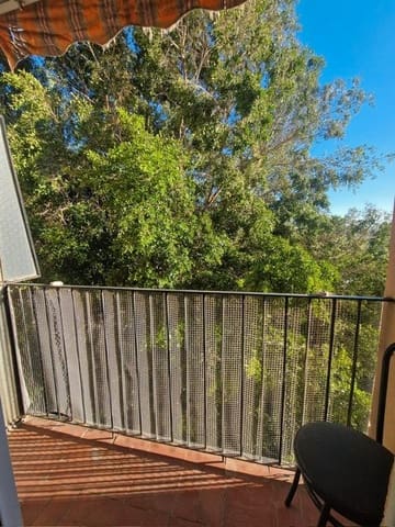 3 bedroom Flat for rent in Carolinas Bajas, Alicante / Alacant city - € 1,100 (Ref: 9726186)