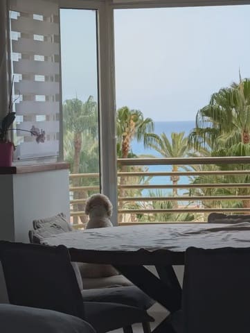 Piso de 3 habitaciones en PAU, Alicante / Alacant ciudad en alquiler con piscina garaje - 2.000 € (Ref: 9755028)