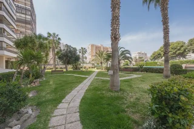 3 bedroom Flat for rent in Alicante / Alacant city with pool garage - € 1,800 (Ref: 9848893)