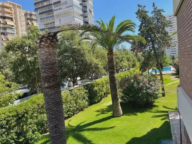 2 bedroom Flat for rent in Alicante / Alacant city with pool garage - € 1,300 (Ref: 9850607)
