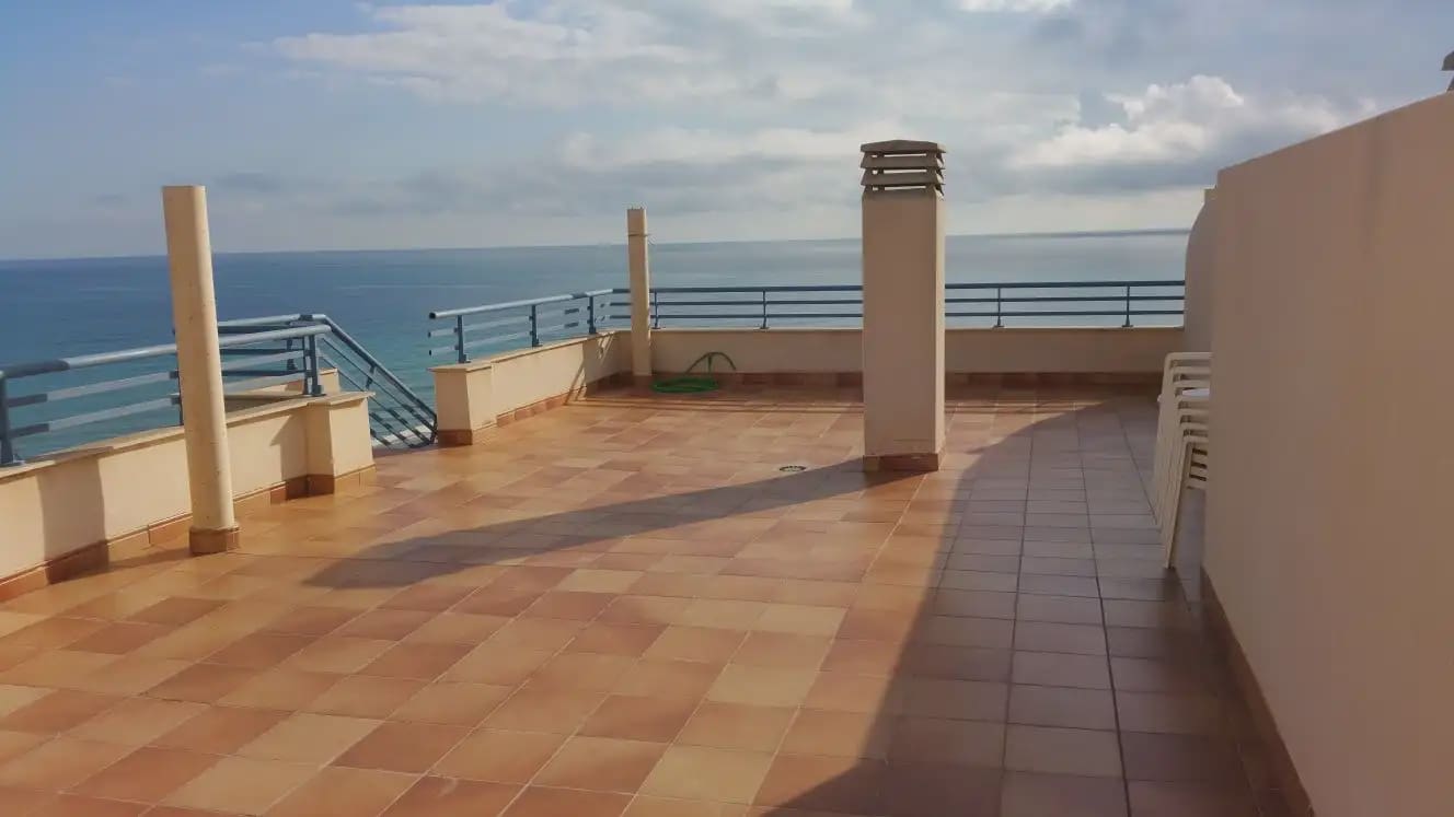 2 bedroom Penthouse for rent in Alicante / Alacant city with pool garage - € 2,800 (Ref: 9850608)