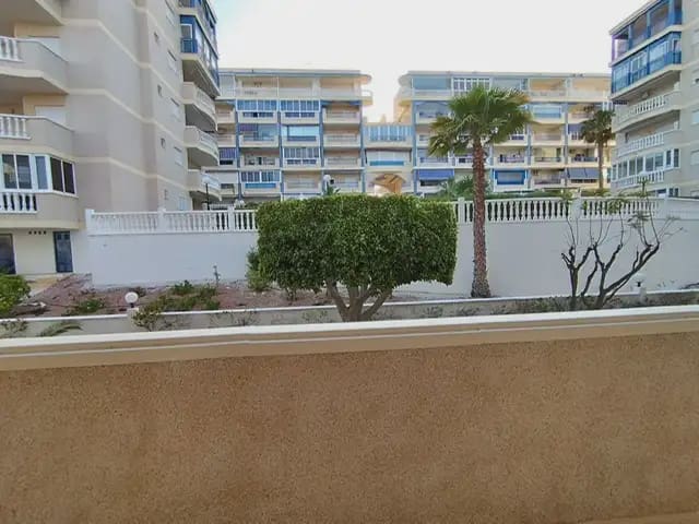 2 soveværelse Lejlighed til leje i Elche / Elx med swimmingpool - € 1.100 (Ref: 9854656)