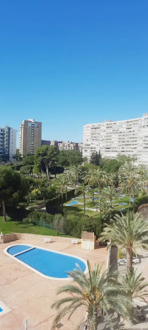 1 bedroom Flat for rent in Alicante / Alacant city with pool garage - € 1,300 (Ref: 9932536)