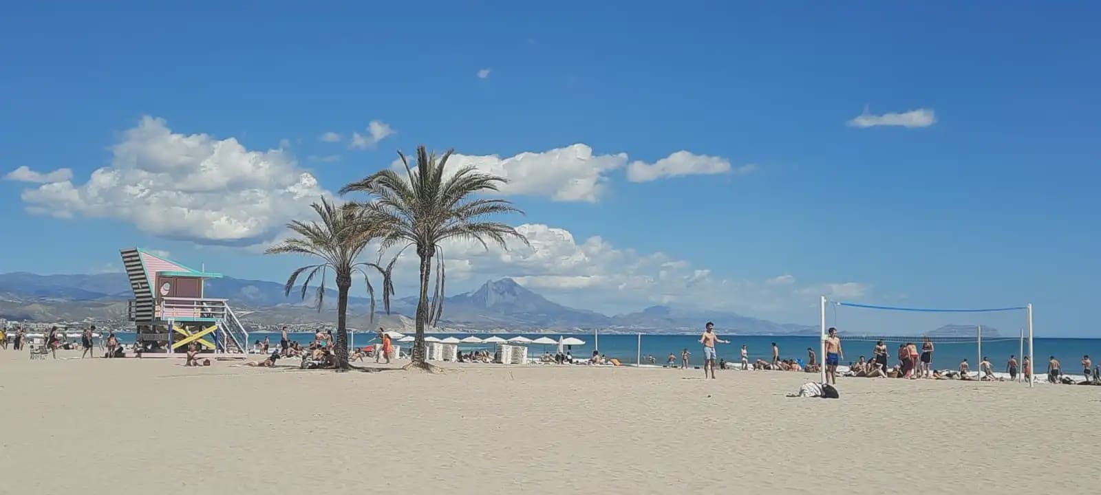 1 bedroom Flat for rent in Alicante / Alacant city with pool garage - € 1,300 (Ref: 9932536)