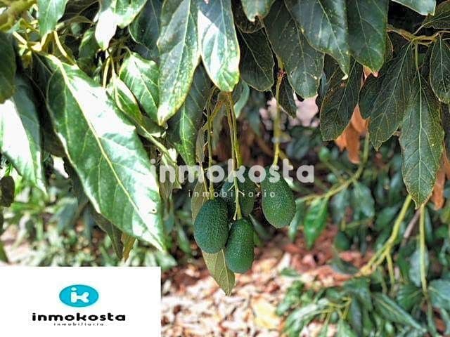 1 soveværelse Finca/Landehus til salg i Polop - € 150.000 (Ref: 5516658)