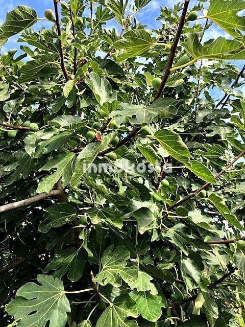 1 soveværelse Finca/Landehus til salg i Polop - € 150.000 (Ref: 5516658)