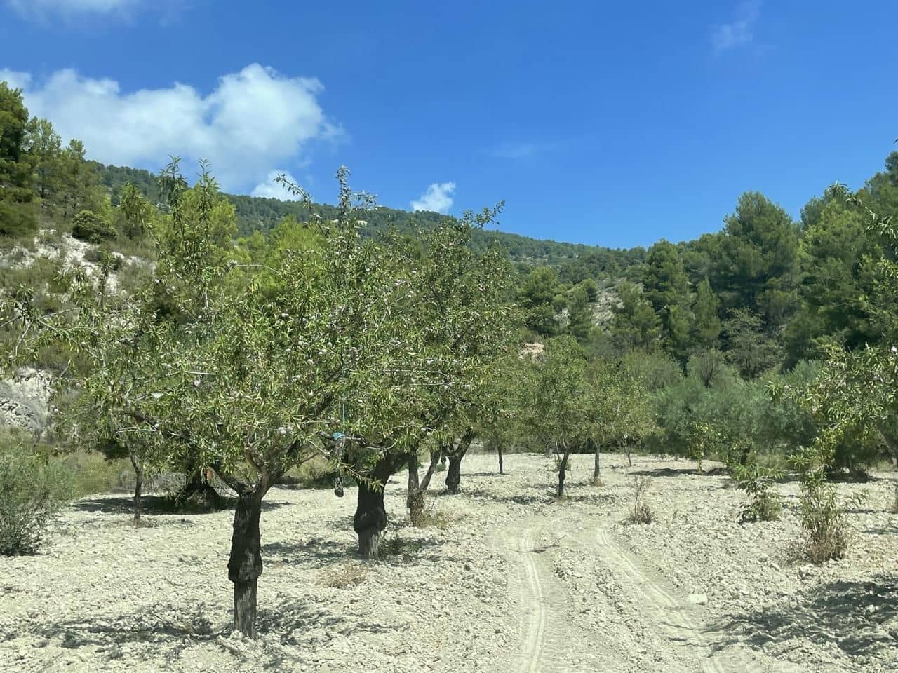 3 bedroom Finca/Country House for sale in Relleu - € 200,000 (Ref: 7766624)