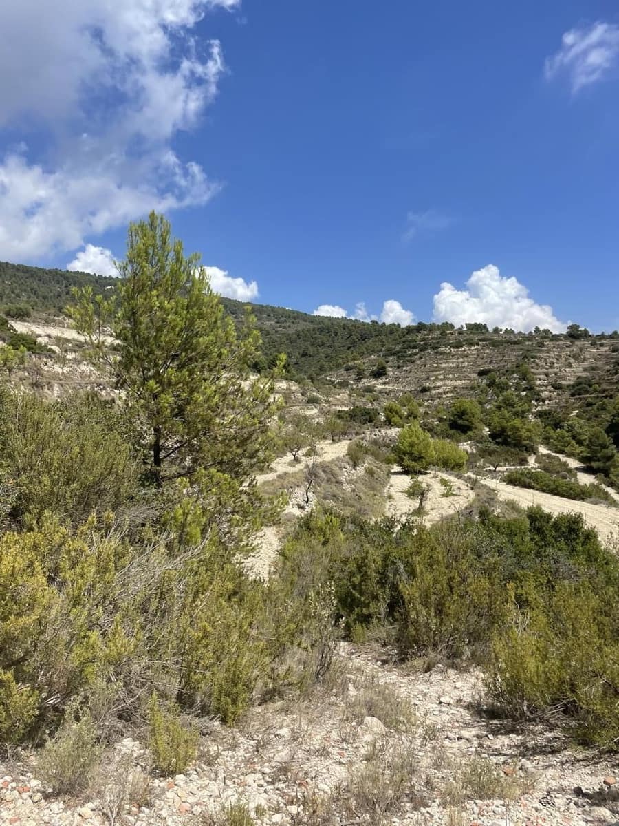 3 bedroom Finca/Country House for sale in Relleu - € 200,000 (Ref: 7766624)