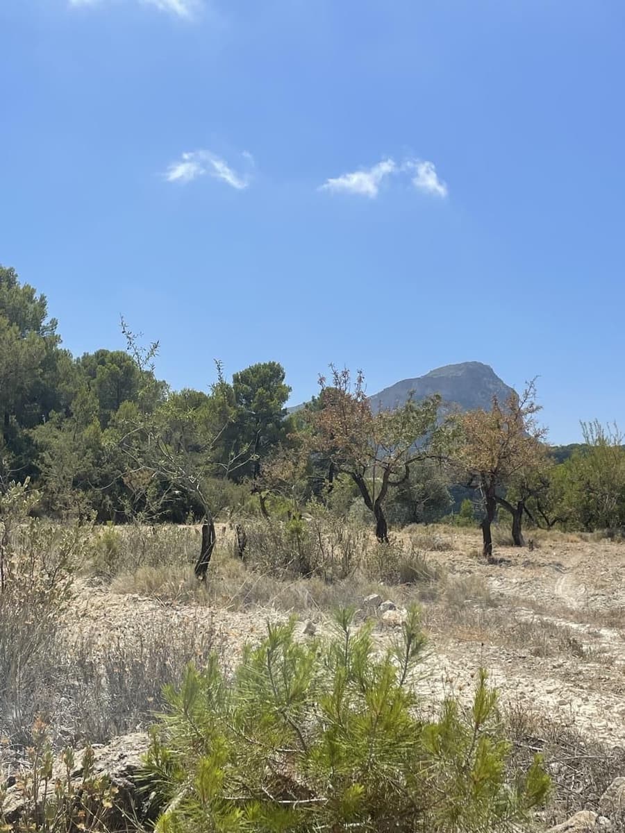 3 bedroom Finca/Country House for sale in Relleu - € 200,000 (Ref: 7766624)