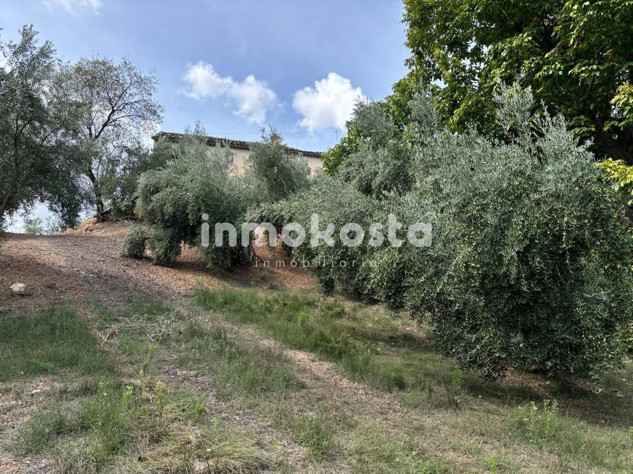 Finca/Landehus til salg i Villanueva del Arzobispo - € 64.800 (Ref: 9618006)
