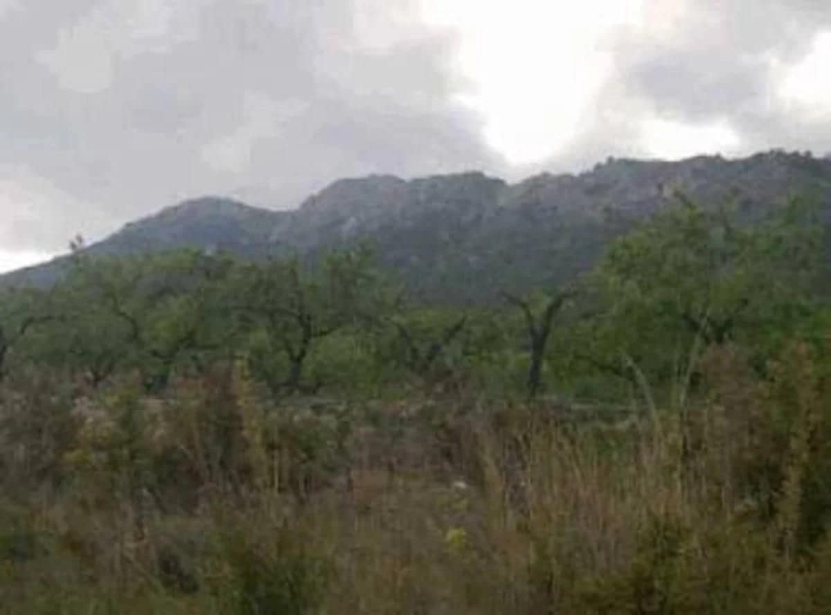 Bouwgrond te koop in Polop - € 1.605.500 (Ref: 9653343)