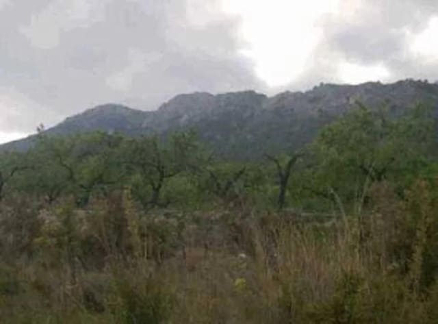 Bouwgrond te koop in Polop - € 1.605.500 (Ref: 9653343)