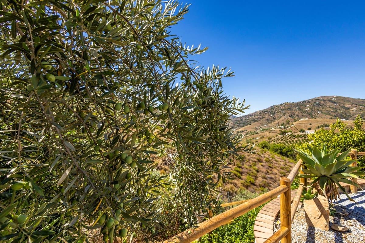 Finca/Casa Rural de 3 habitaciones en Cómpeta en venta con piscina garaje - 395.000 € (Ref: 10081826)