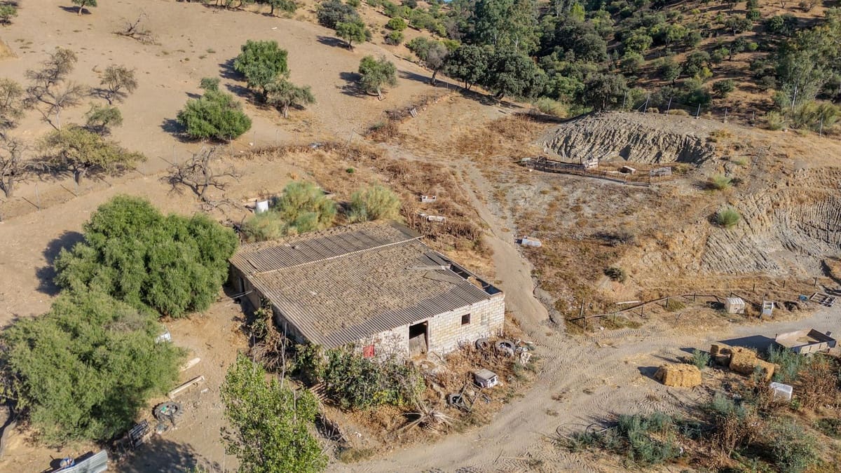 3 sovrum Finca/Hus på landet till salu i Gibralgalia med pool garage - 339 000 € (Ref: 10082199)