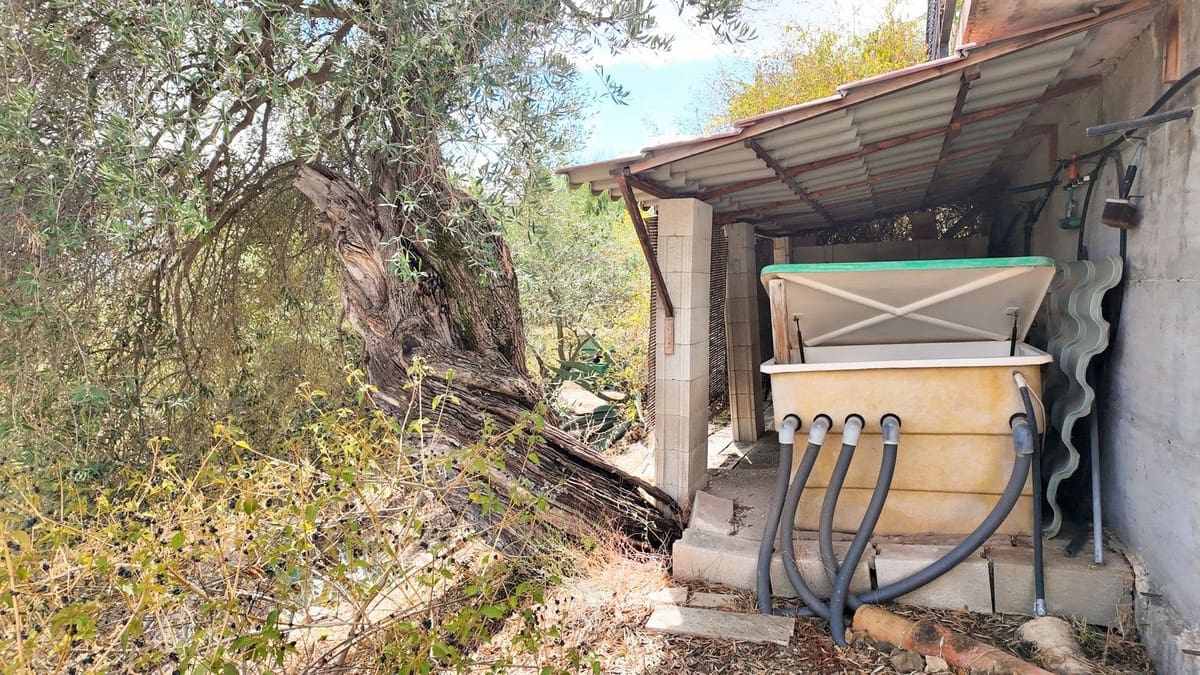 3 slaapkamer Finca/Landhuis te koop in Monda met zwembad garage - € 478.000 (Ref: 10125009)