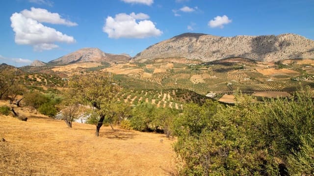 2 Zimmer Villa zu verkaufen in Alora mit Pool Garage - 250.000 € (Ref: 10130626)