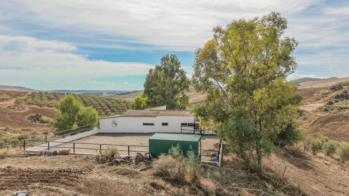 6 chambre Finca/Maison de Campagne à vendre à Alora avec piscine garage - 440 000 € (Ref: 10175469)