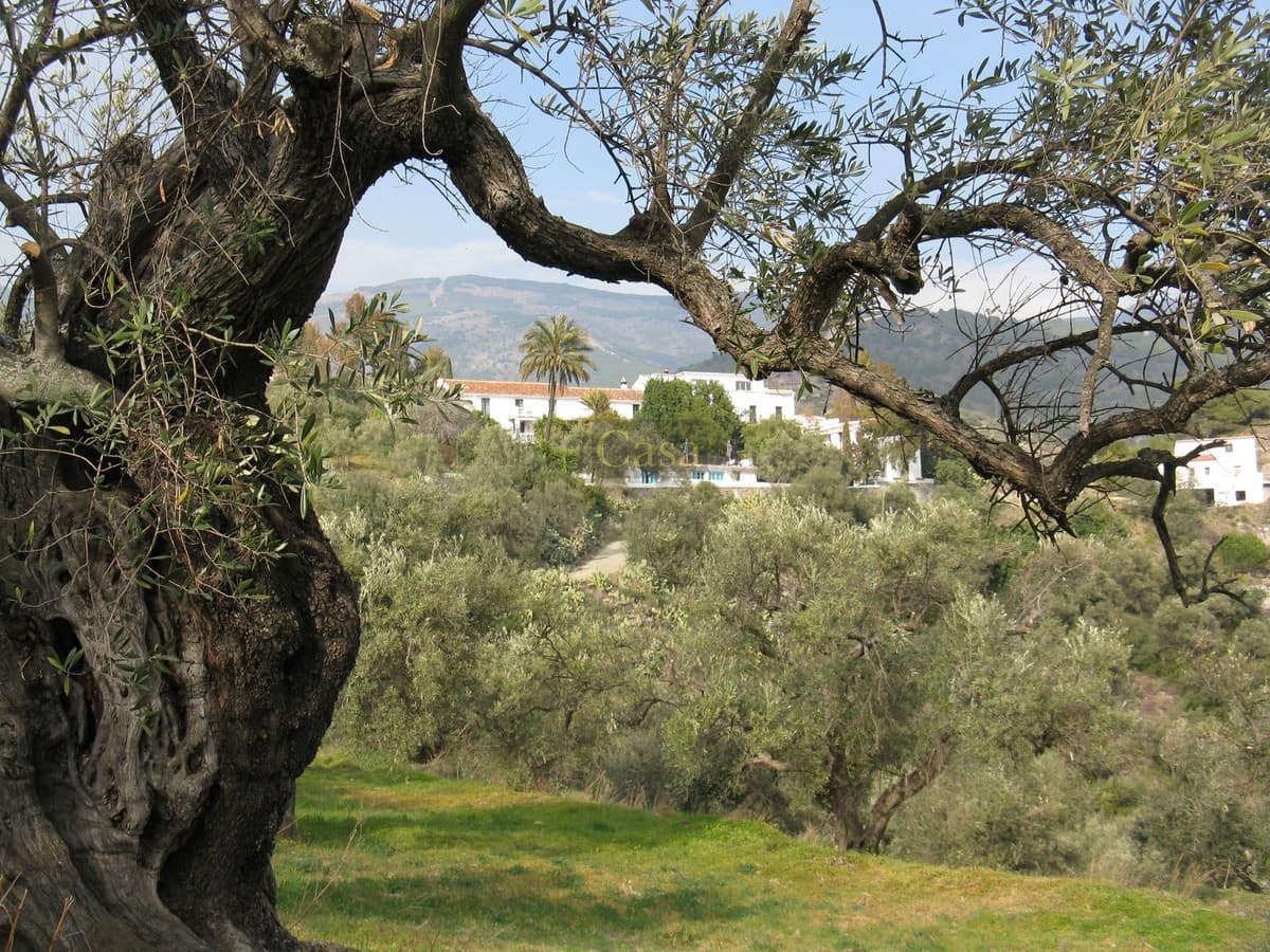 16 bedroom Finca/Country House for sale in Canillas de Albaida with pool garage - € 1,900,000 (Ref: 8410147)