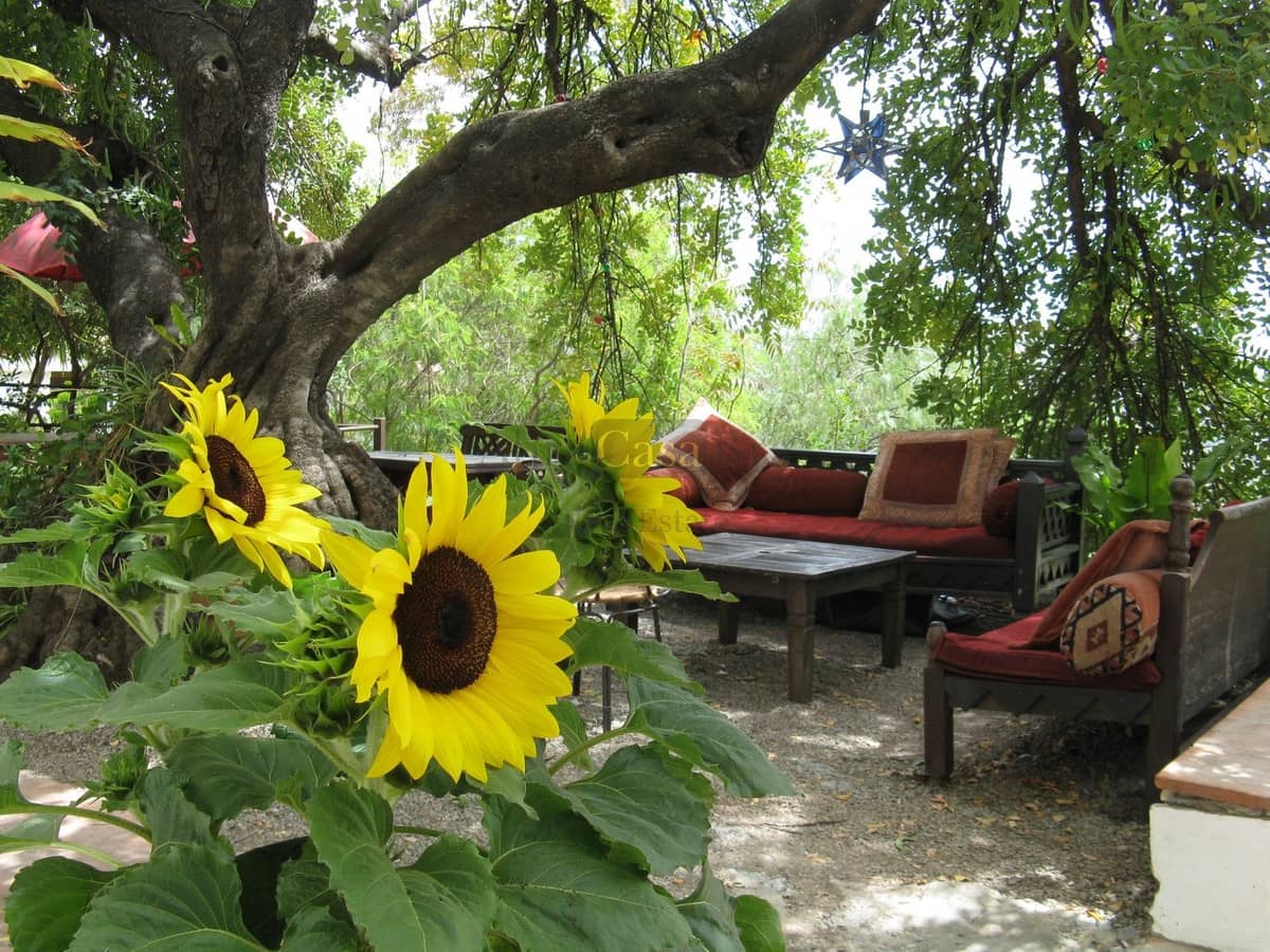 16 bedroom Finca/Country House for sale in Canillas de Albaida with pool garage - € 1,900,000 (Ref: 8410147)