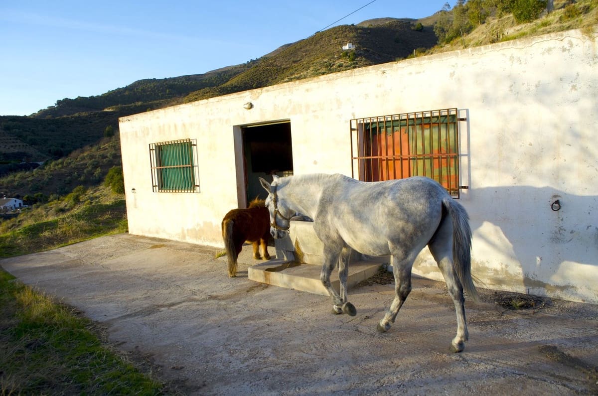 3 bedroom Finca/Country House for sale in Sedella with pool garage - € 398,000 (Ref: 8410185)
