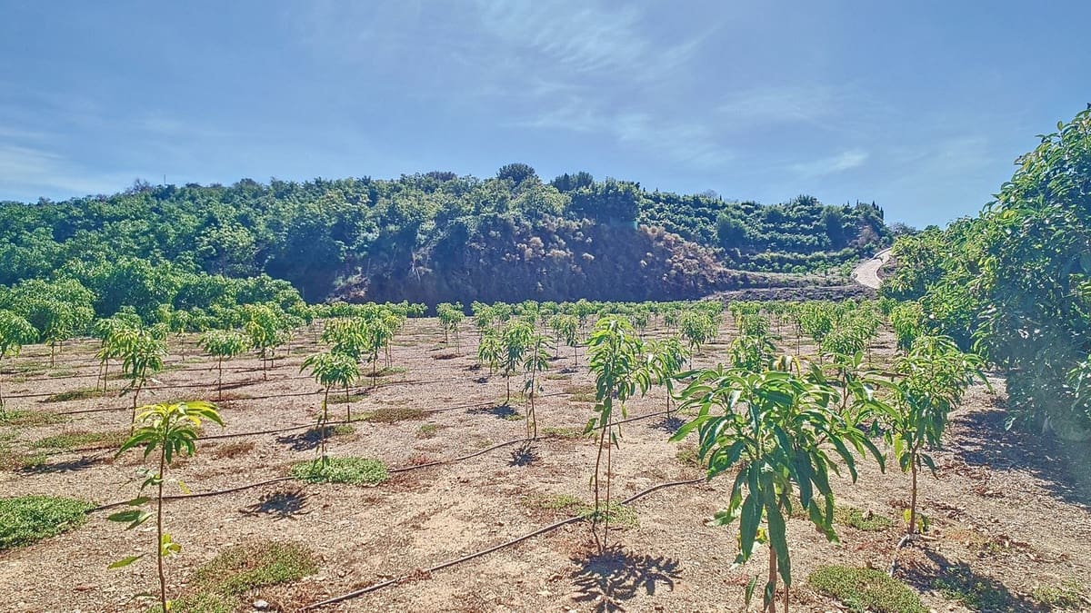 3 quarto Quinta/Casa Rural para venda em Velez-Malaga com piscina garagem - 1 225 000 € (Ref: 8410791)