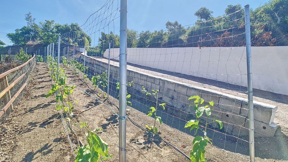 3 quarto Quinta/Casa Rural para venda em Velez-Malaga com piscina garagem - 1 225 000 € (Ref: 8410791)