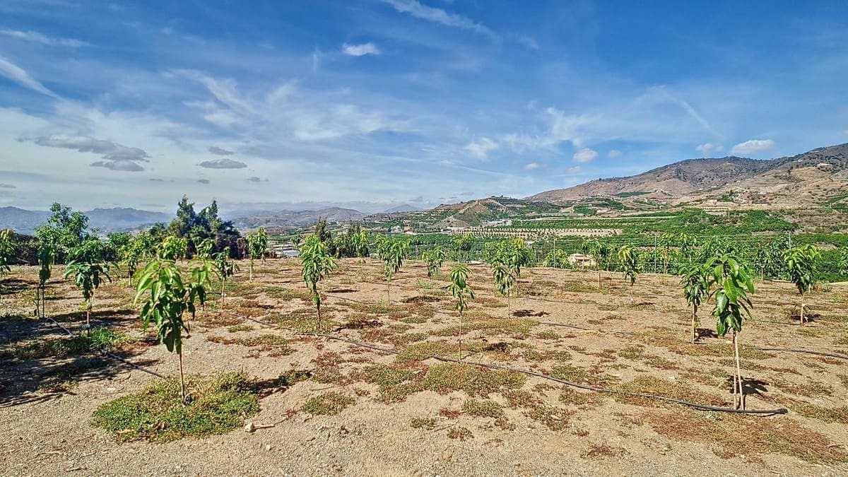 3 quarto Quinta/Casa Rural para venda em Velez-Malaga com piscina garagem - 1 225 000 € (Ref: 8410791)