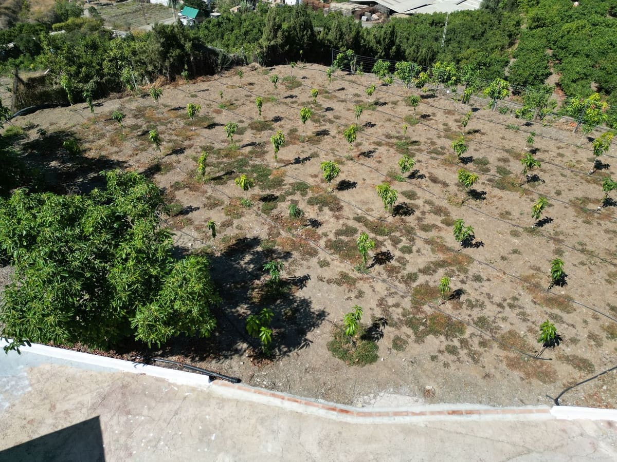 3 quarto Quinta/Casa Rural para venda em Velez-Malaga com piscina garagem - 1 225 000 € (Ref: 8410791)