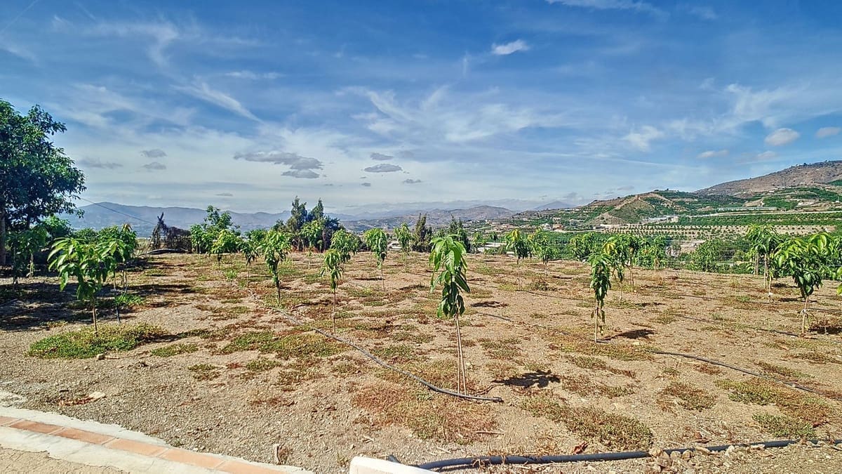 3 quarto Quinta/Casa Rural para venda em Velez-Malaga com piscina garagem - 1 225 000 € (Ref: 8410791)