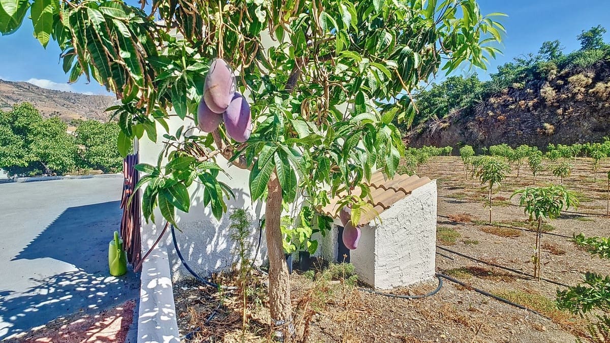 3 quarto Quinta/Casa Rural para venda em Velez-Malaga com piscina garagem - 1 225 000 € (Ref: 8410791)