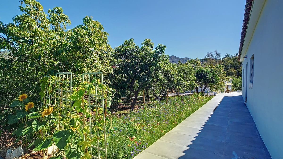 3 soveværelse Finca/Landehus til salg i Velez-Malaga med swimmingpool garage - € 1.150.000 (Ref: 8410791)