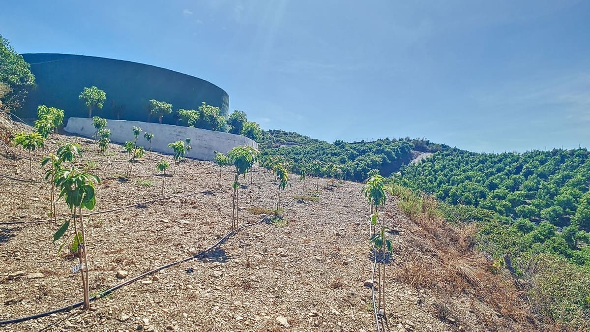 3 soveværelse Finca/Landehus til salg i Velez-Malaga med swimmingpool garage - € 1.150.000 (Ref: 8410791)