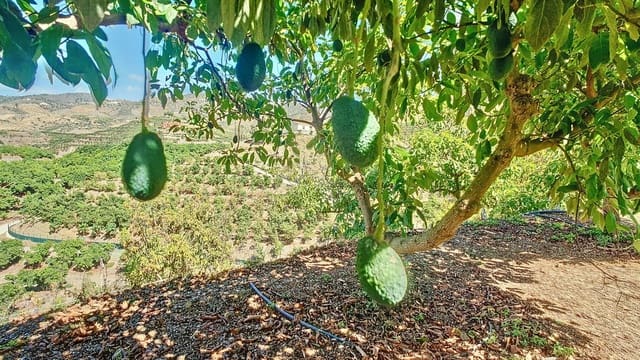 3 soveværelse Finca/Landehus til salg i Vélez-Málaga med swimmingpool garage - € 1.150.000 (Ref: 8410791)