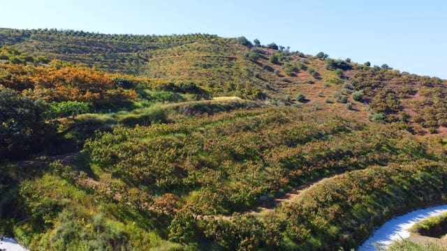 1 quarto Quinta/Casa Rural para venda em Algarrobo - 750 000 € (Ref: 8453995)