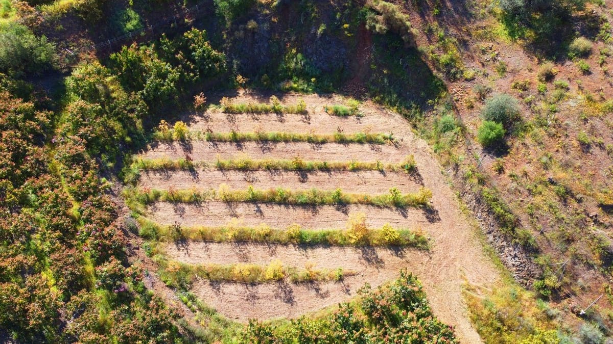 1 quarto Quinta/Casa Rural para venda em Algarrobo - 750 000 € (Ref: 8453995)