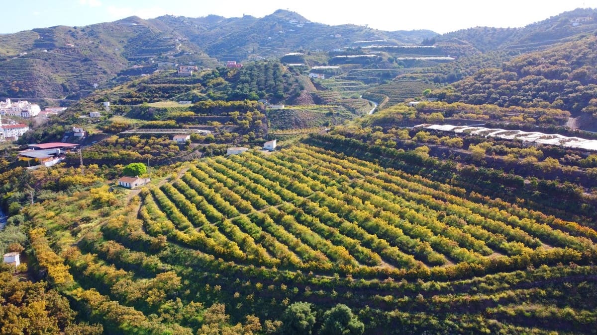 1 quarto Quinta/Casa Rural para venda em Algarrobo - 750 000 € (Ref: 8453995)