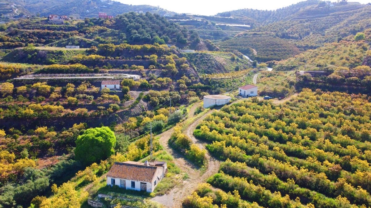 1 quarto Quinta/Casa Rural para venda em Algarrobo - 750 000 € (Ref: 8453995)