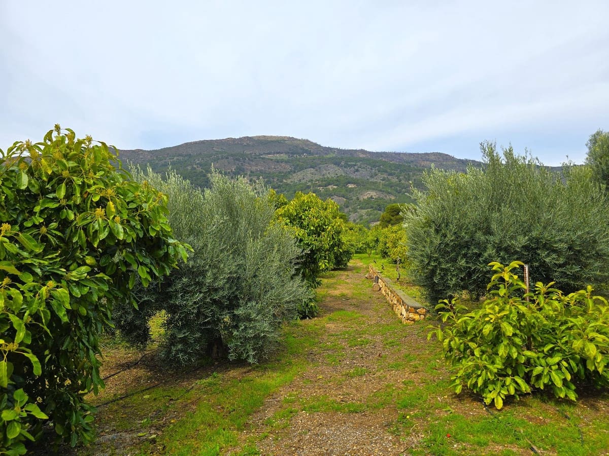 3 soveværelse Finca/Landehus til salg i Velez de Benaudalla med swimmingpool garage - € 420.000 (Ref: 8894380)